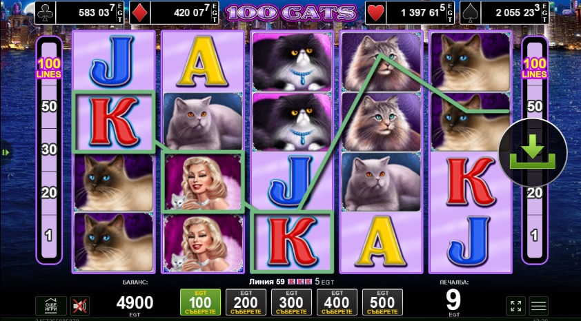 100 cats 3